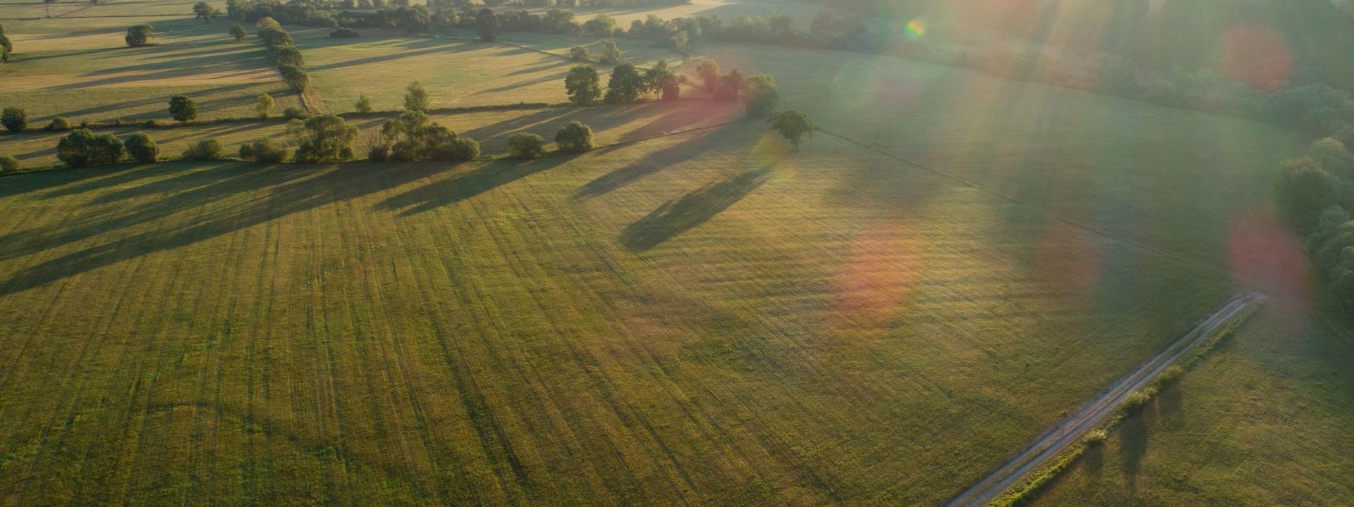 Green Landscape